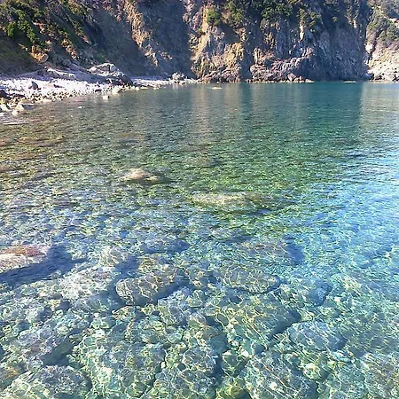 Issopo * Марчана